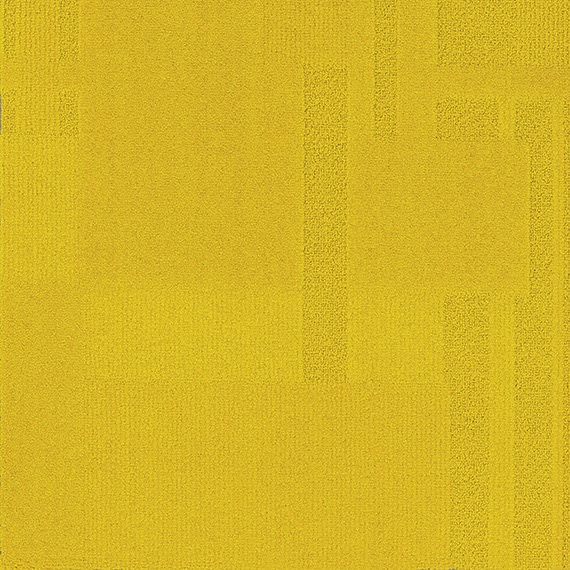 VIVID043-B55