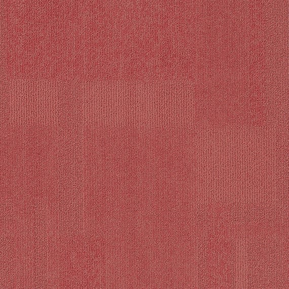 VIVID055-C42