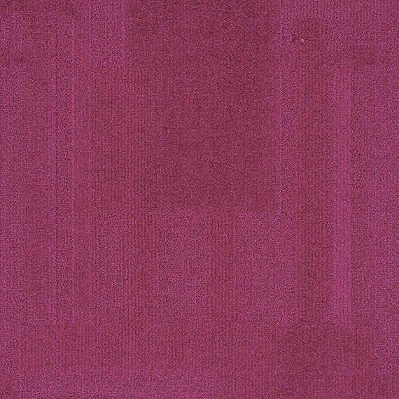 VIVID062-C33