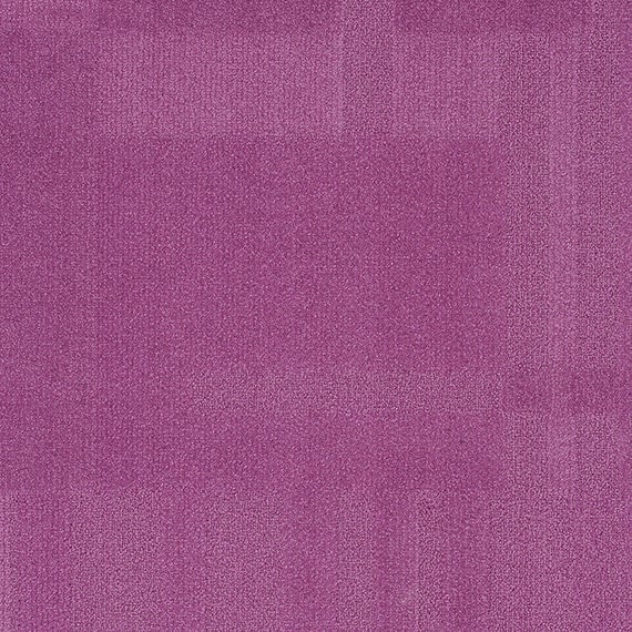 VIVID074-C31