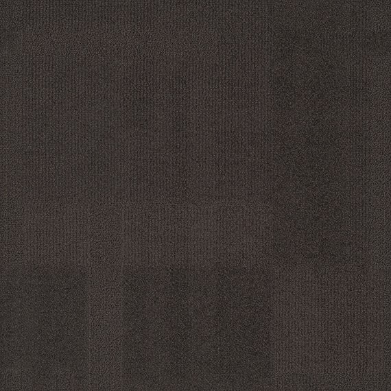 VIVID076-E55