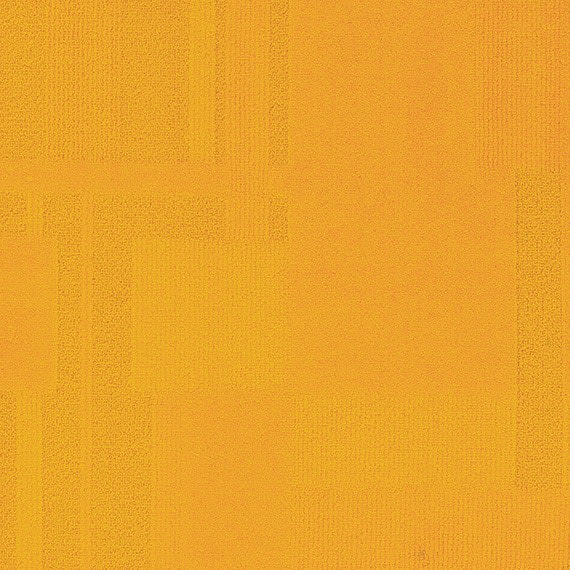 VIVID080-A54