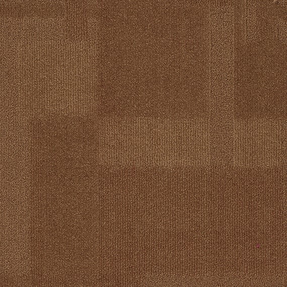 VIVID081-C54