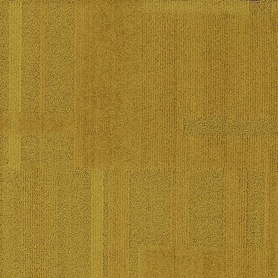 VIVID082-A55