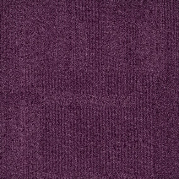 VIVID107-C34