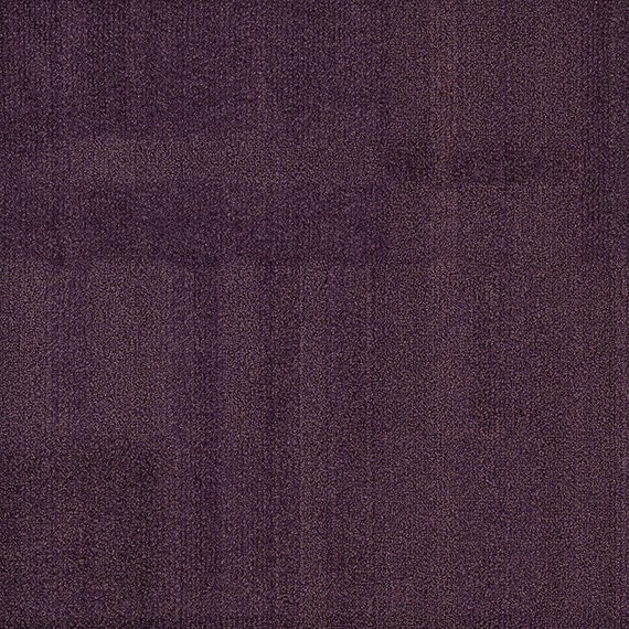 VIVID113-D36