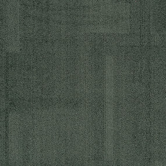 VIVID114-B15