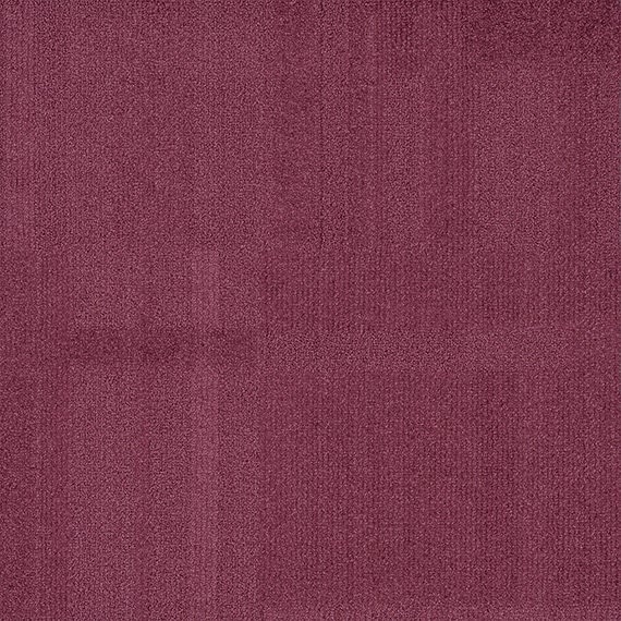 VIVID115-D34