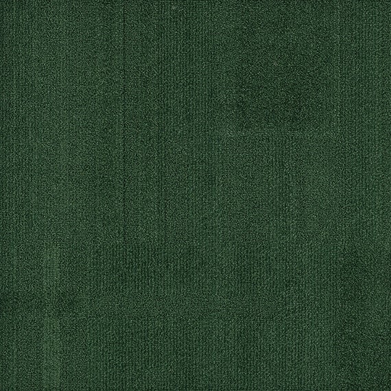 VIVID123-C14