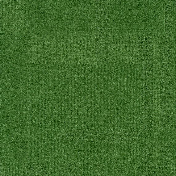 VIVID125-C12