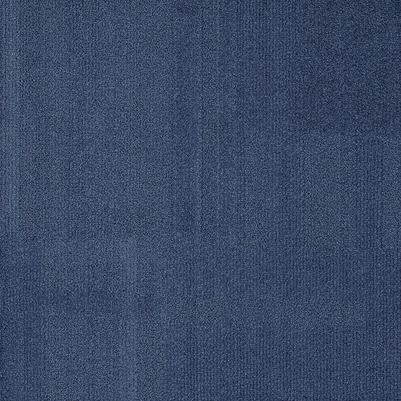 VIVID129-D23