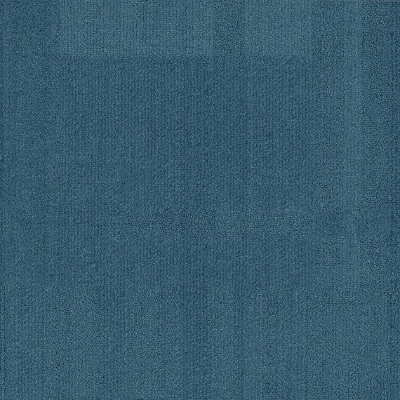 VIVID132-C24