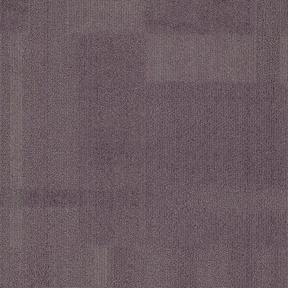 VIVID134-C36