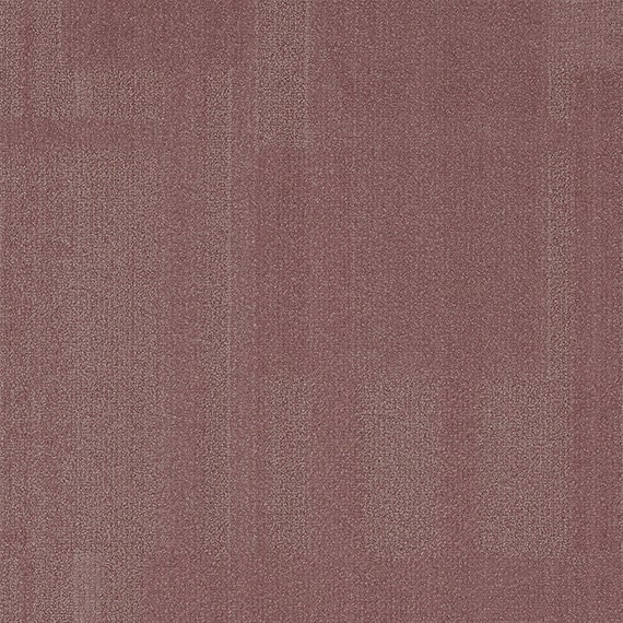 VIVID135-F32