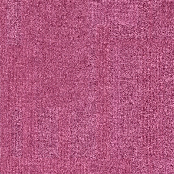VIVID154-D31