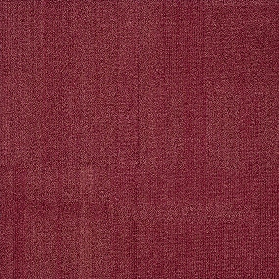 VIVID155-D35