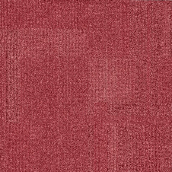 VIVID164-B44