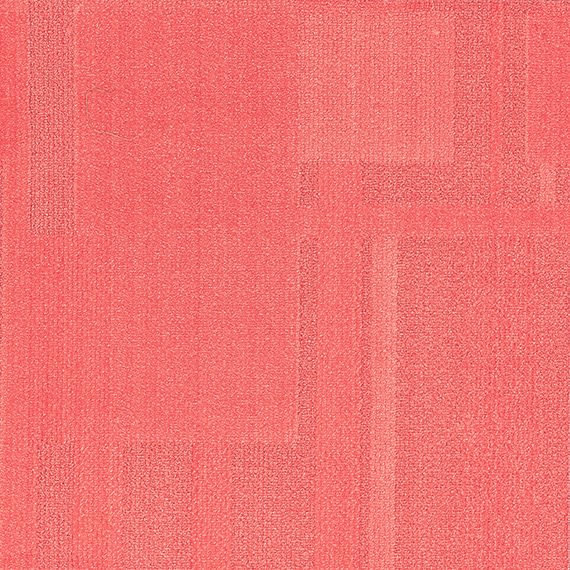 VIVID166-C41