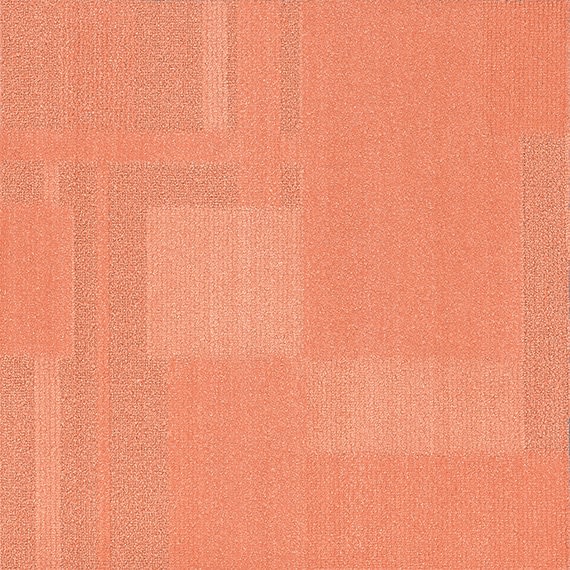 VIVID170-D41