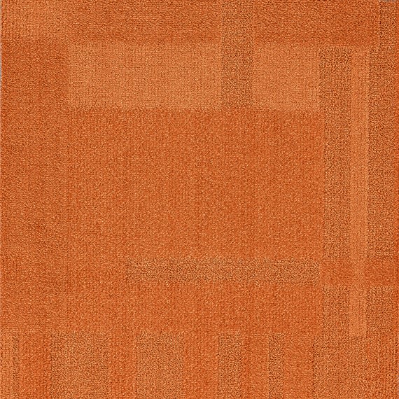VIVID175-E43