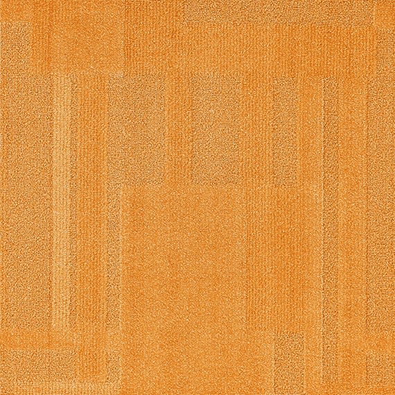 VIVID180-F41