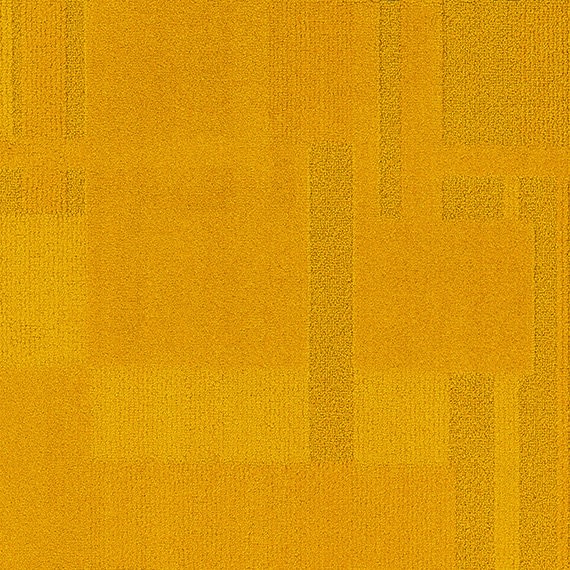 VIVID183-A53