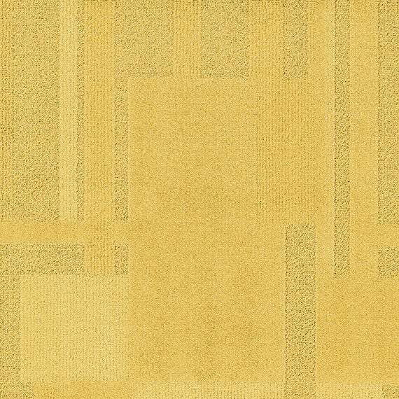 VIVID184-B51