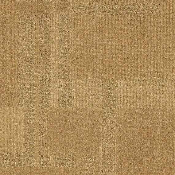 VIVID187-C51
