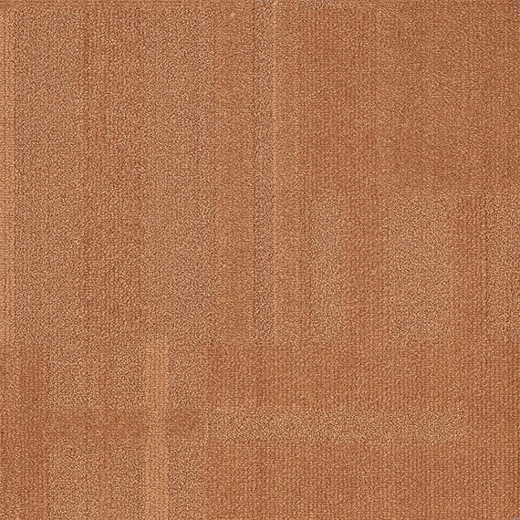 VIVID188-C55