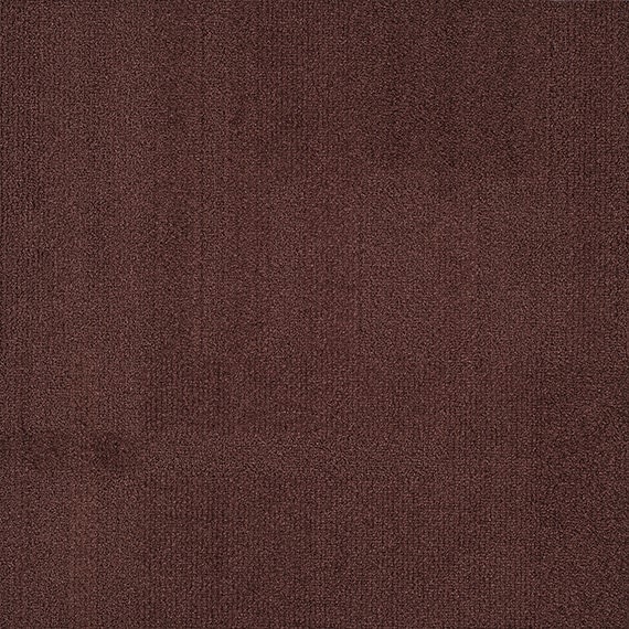 VIVID192-D55