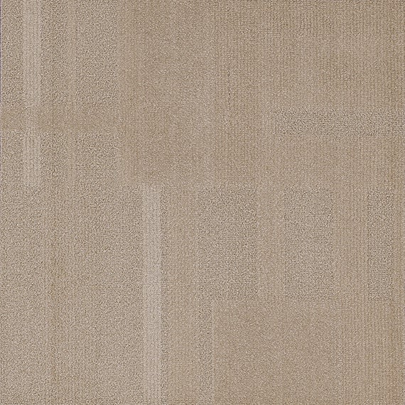 VIVID195-E51