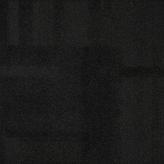 VIVID202-D66