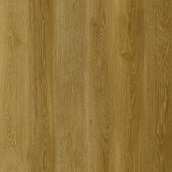 California Oak 8168