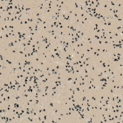 Oyster K30215