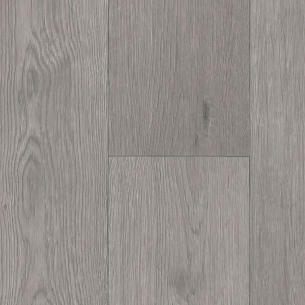 Swan Dark Grey