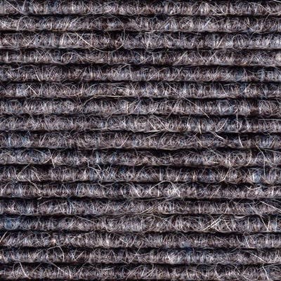 Larch 523