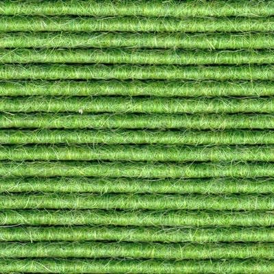 Lettuce Leaf 580