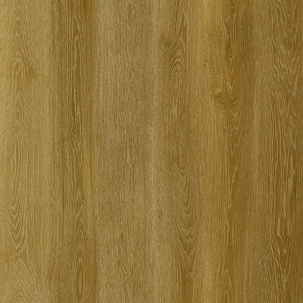 California Oak 8168