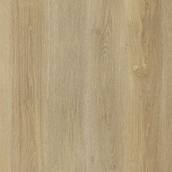 Cashmere Oak 6678
