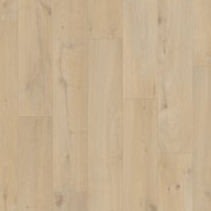 L0371-08474  Coastal oak