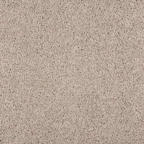 Dusted Brown