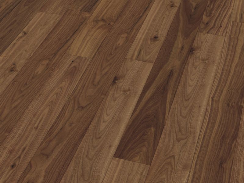 American Black Walnut 127