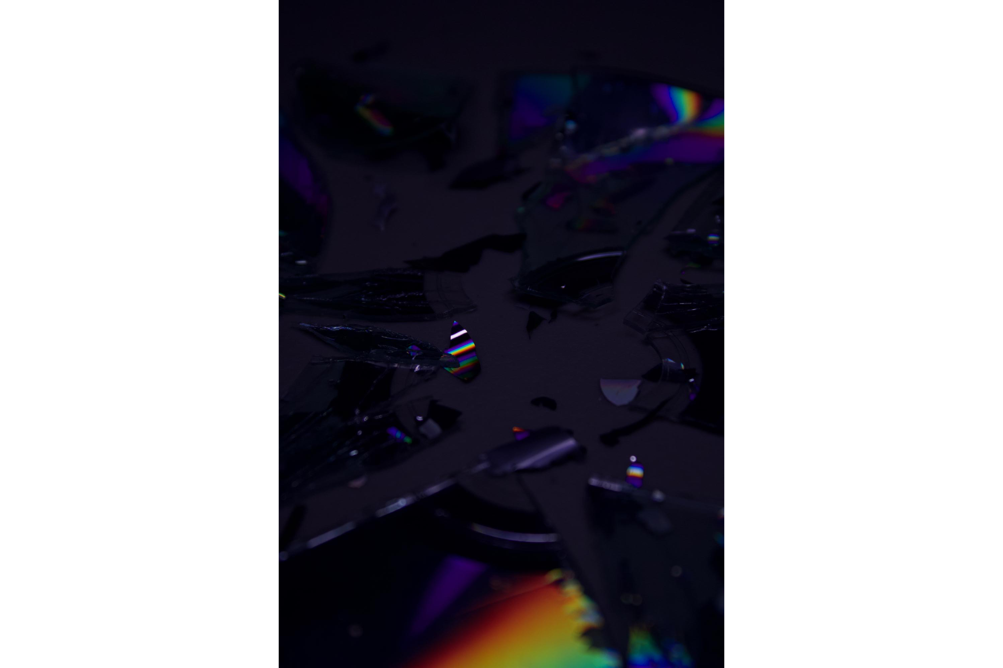 new fvaorie