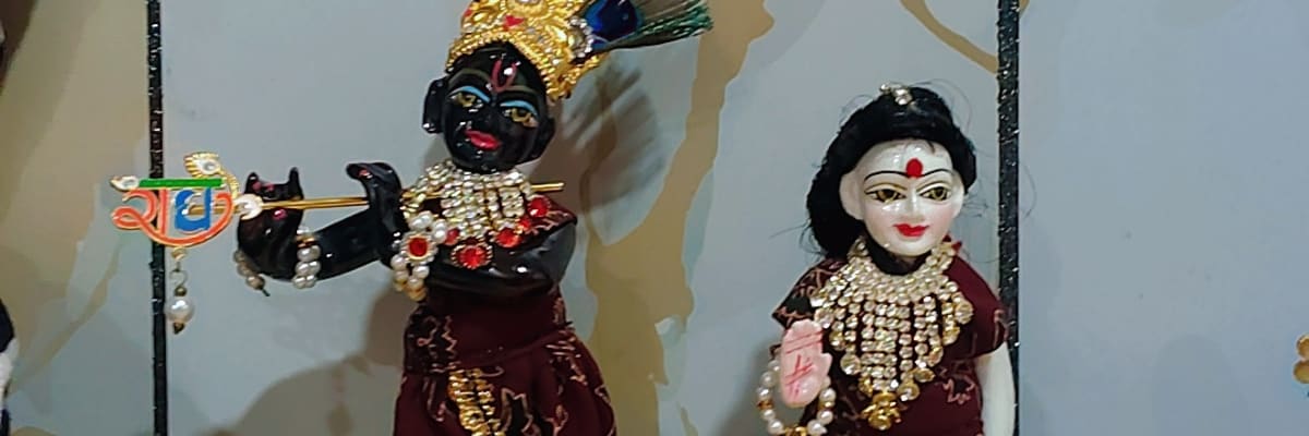 Shree shyam collection