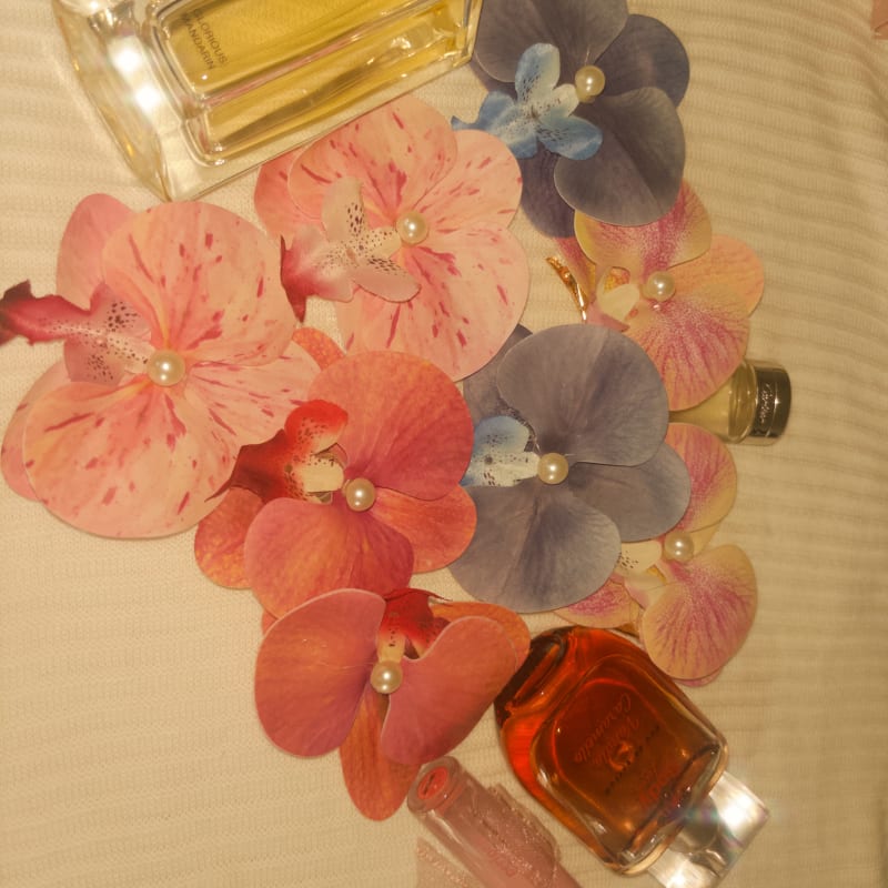 Orchid clips