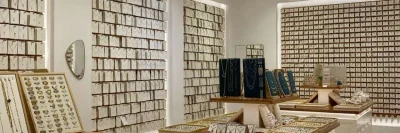 Ashmina Noor Collections