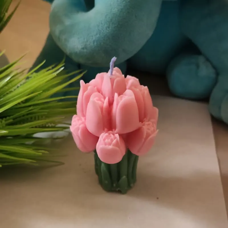 Tulip