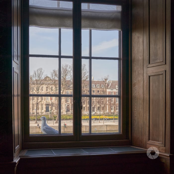 Looking ouside in de Eerste Kamer