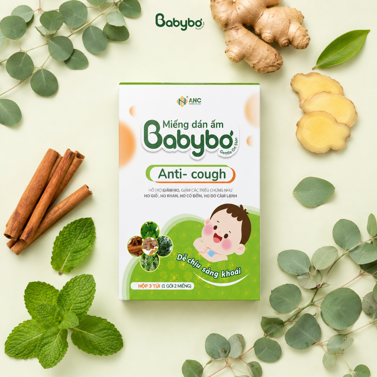 Thành phần thảo mộc trong miếng dán giảm ho Babybơ gồm gừng quế khuynh diệp bạc hà