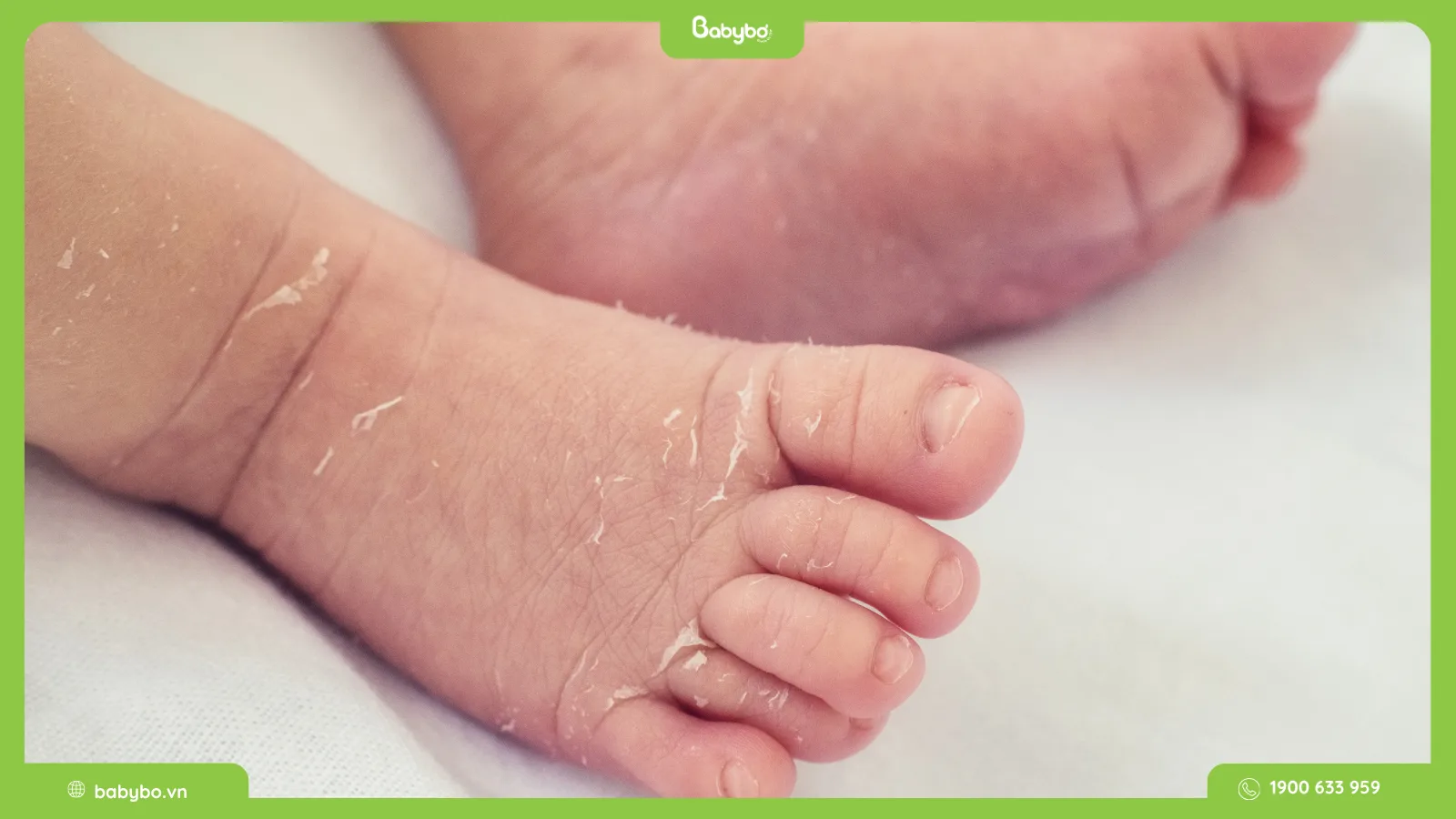 mua sáp dưỡng ẩm Babybơ ở đâu